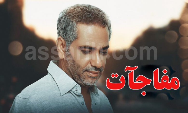 fadel shaker