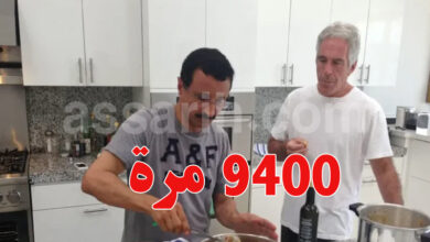 jeffrey epstein Sultan Ahmed Ibn Salim DP World