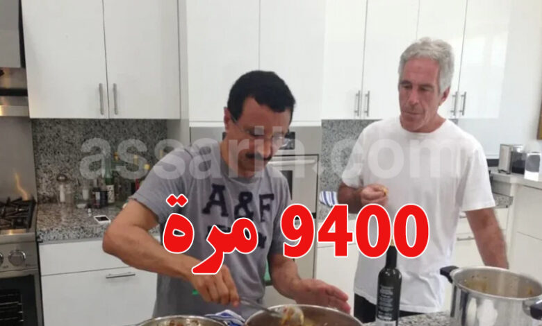 jeffrey epstein Sultan Ahmed Ibn Salim DP World