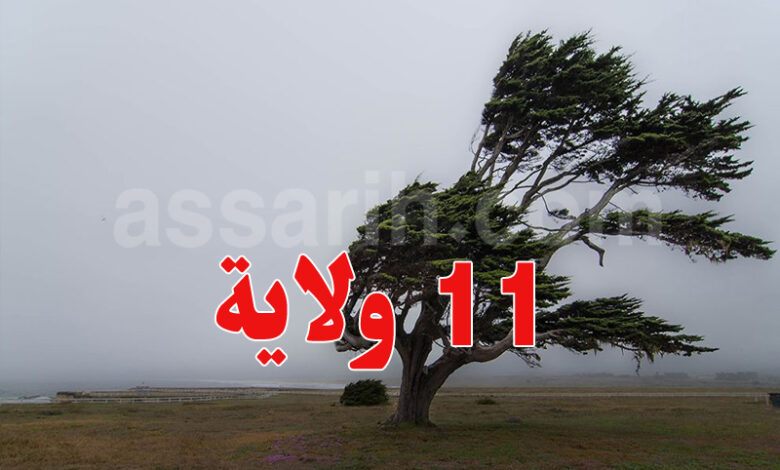 meteo tunis
