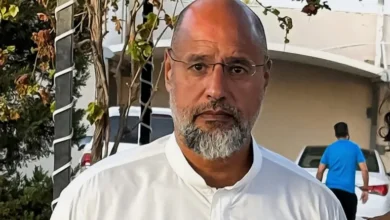 saif islam kadhafi