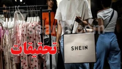 shein investigations