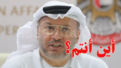 Anwar Gargash