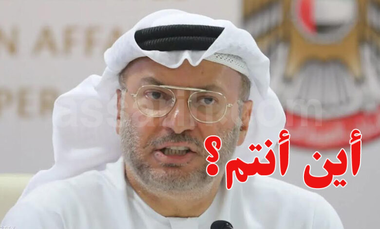 Anwar Gargash