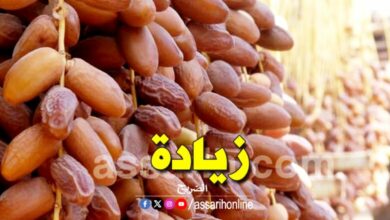 Dattes 28022026
