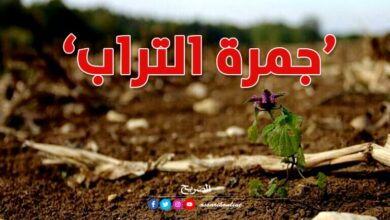 Jamret-El-Terab-768x470