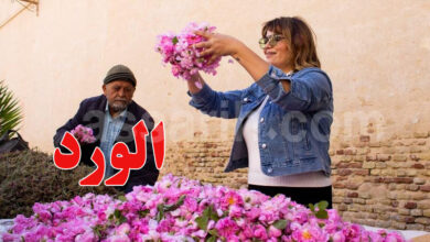 La troisième édition du Festival des Roses à Kairouan