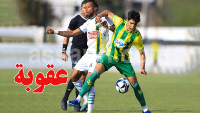 Omar Traidi