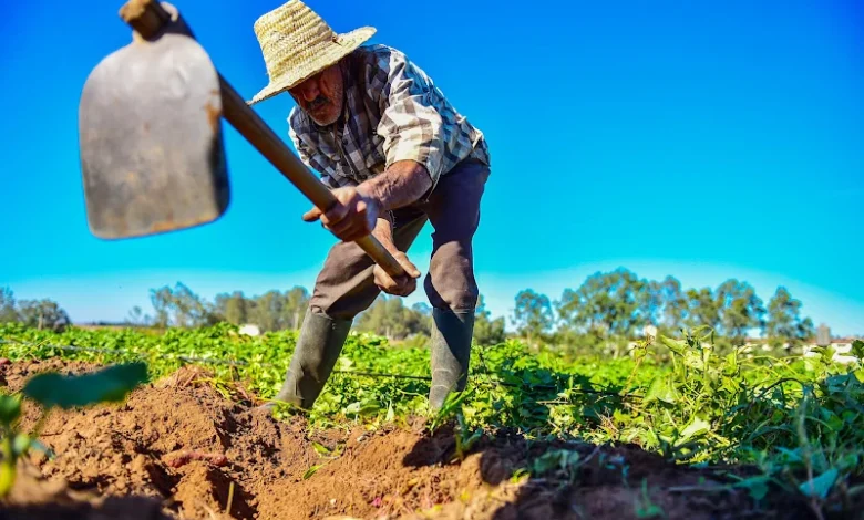 agricole (1)