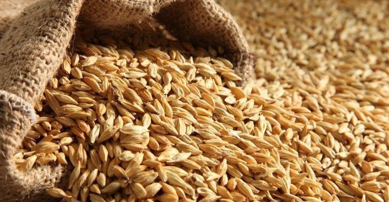 ble grains