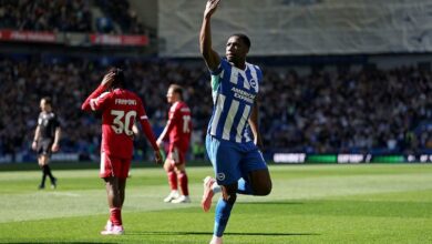 brighton - liverpool