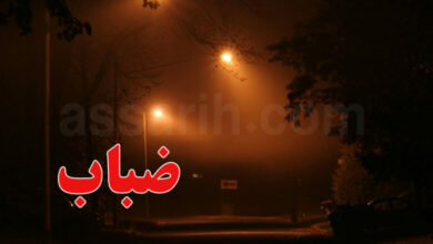 brouillard