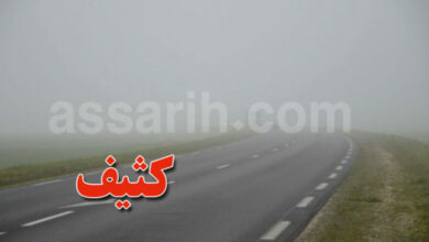 brouillard