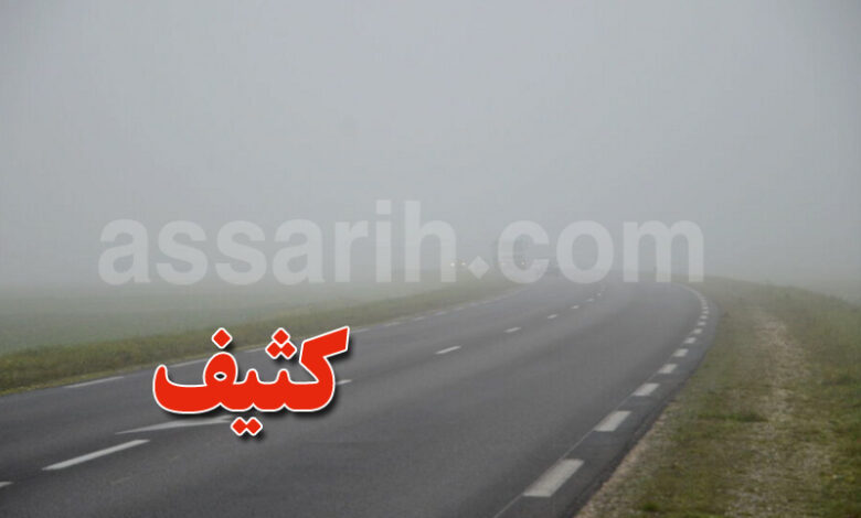 brouillard
