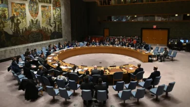 conseil de sécurité onu