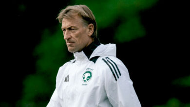 hervé renard