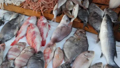 marché de poisson