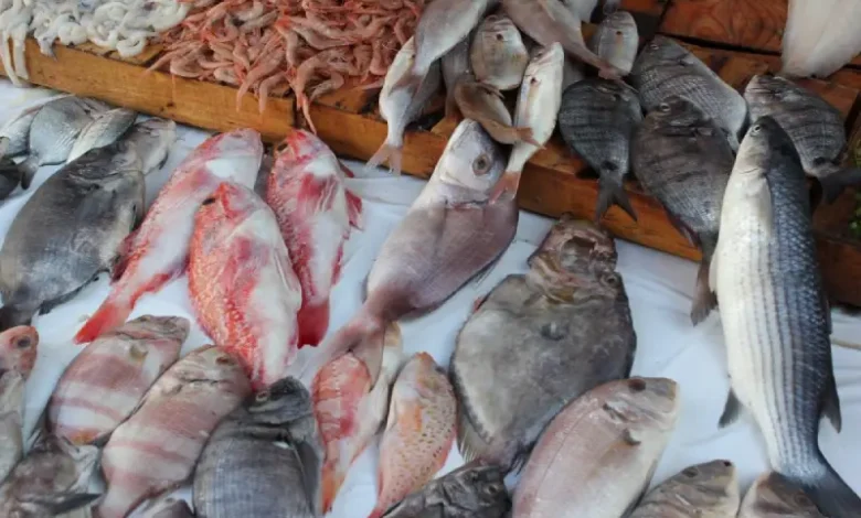marché de poisson