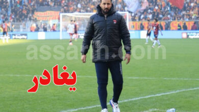 mohamed chibani