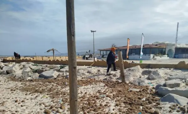 plage soliman 29.03.2026 03