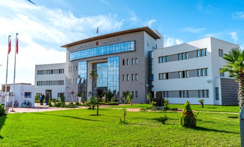 université de jendouba 31032026