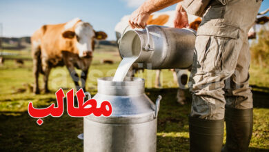 Collecte de lait