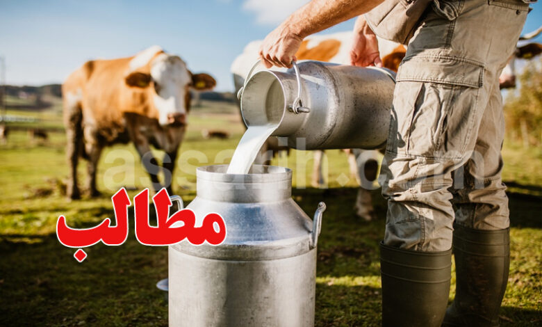 Collecte de lait