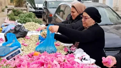 Festival annuel des roses à Kairouan