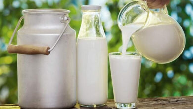LAIT-1-780x450-1