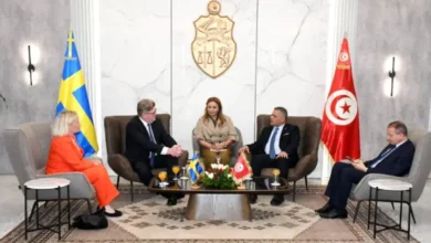 Séance de travail entre le ministre de l'Intérieur et son homologue suédois