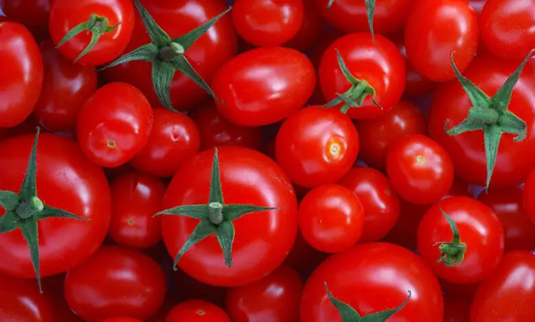 Tomates