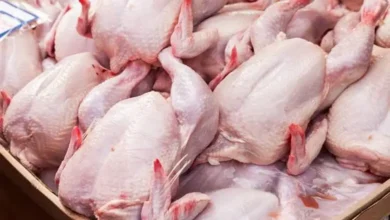 Viande-de-volaille.webp