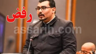 ahmed saidani