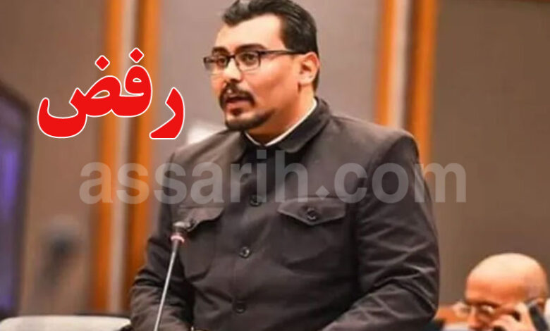 ahmed saidani