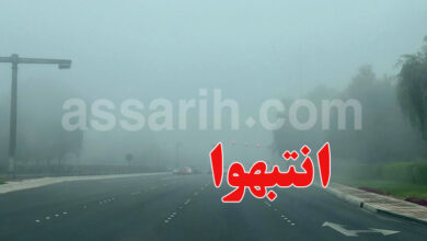 brouillard