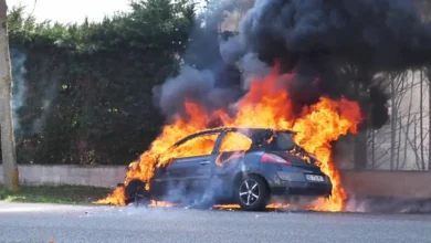 incendie au Parc Municipal de Boumehel Ben Arous Tunisie