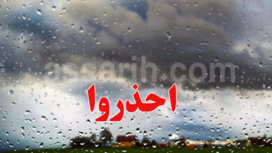 meteo