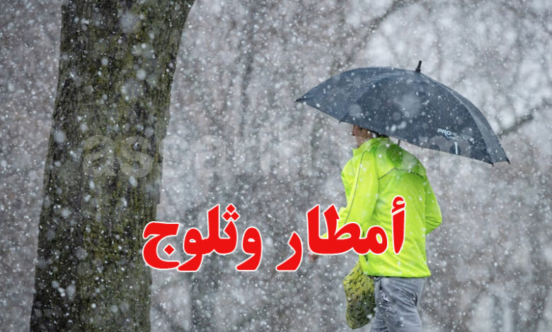 meteo