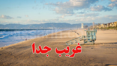 plage los angeles
