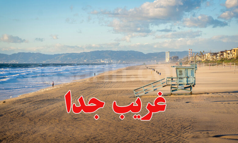 plage los angeles