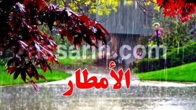 pluie-8-780x470