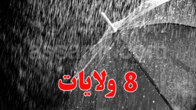 pluie-Meteo-Tunisie 19012026 (1)