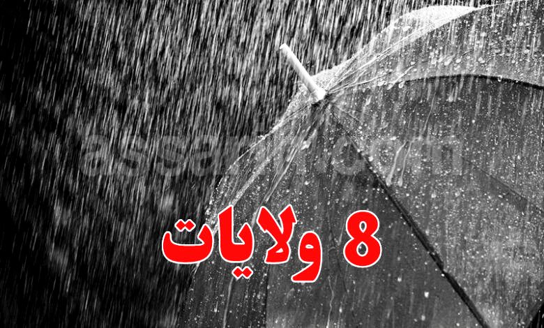 pluie-Meteo-Tunisie 19012026 (1)