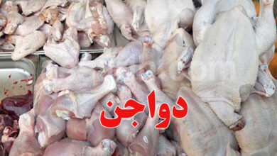 viande poulet