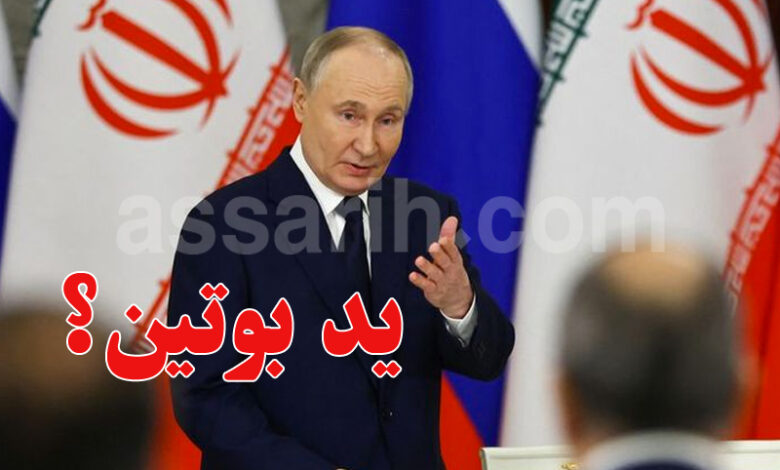 vladimir poutine