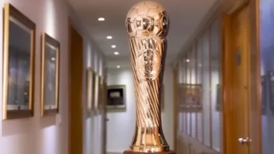 Coupe de Tunisie (2)
