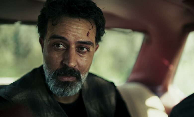 Ghanem Zreli