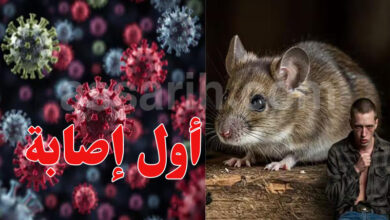 Hantavirus