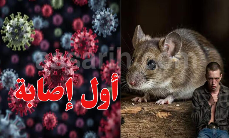 Hantavirus