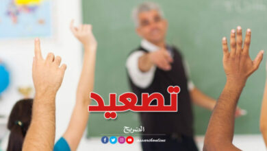 Les-professeurs-et-les-enseignants-sont-des-representants-780x470